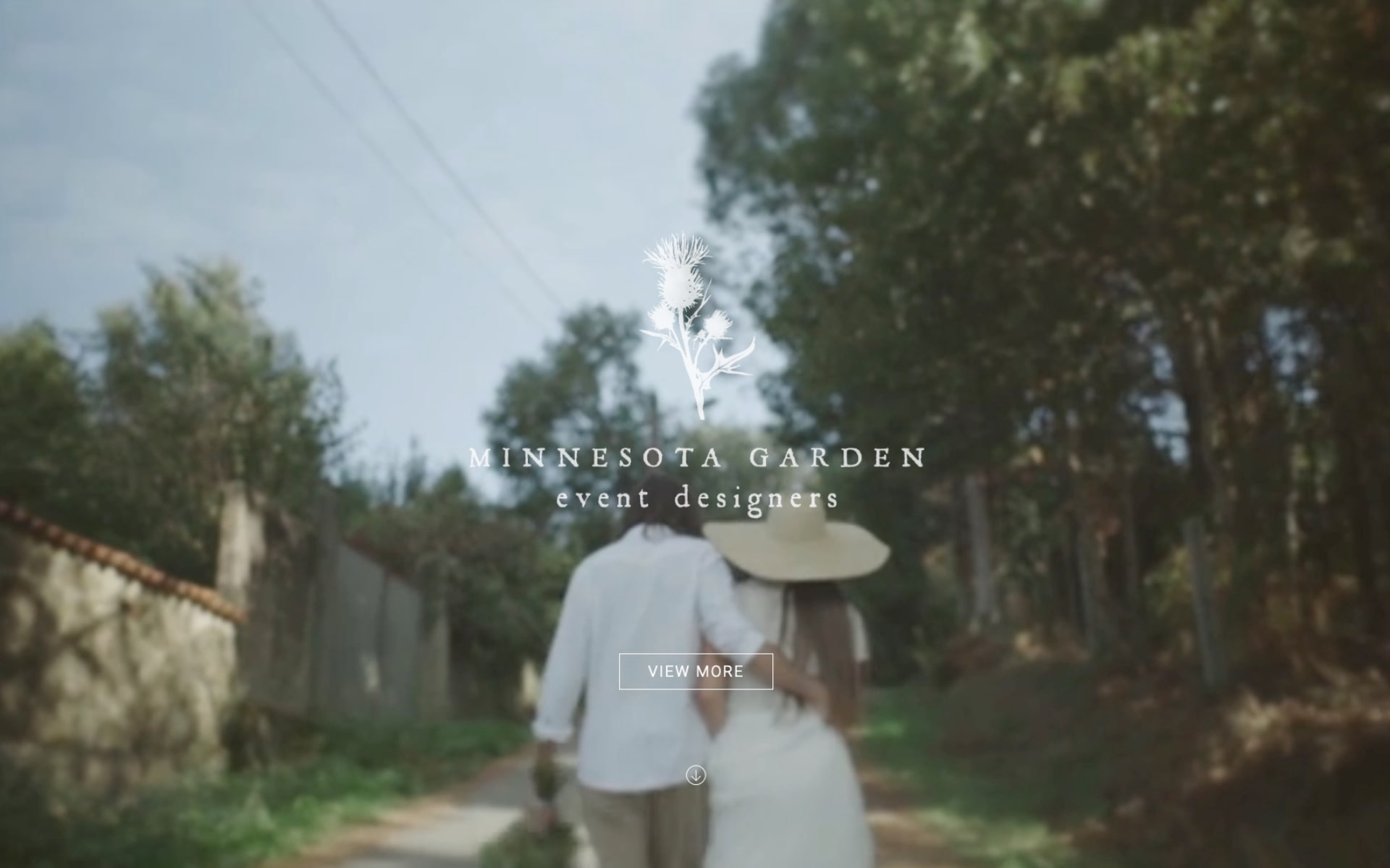 Identity & web design